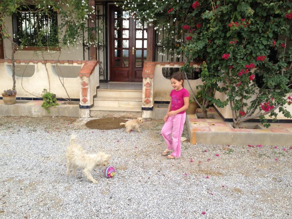 Bed and Breakfast Dar Salima Mornag Экстерьер фото